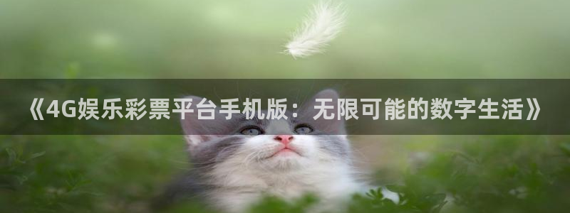 upload/20250701114914.jpg